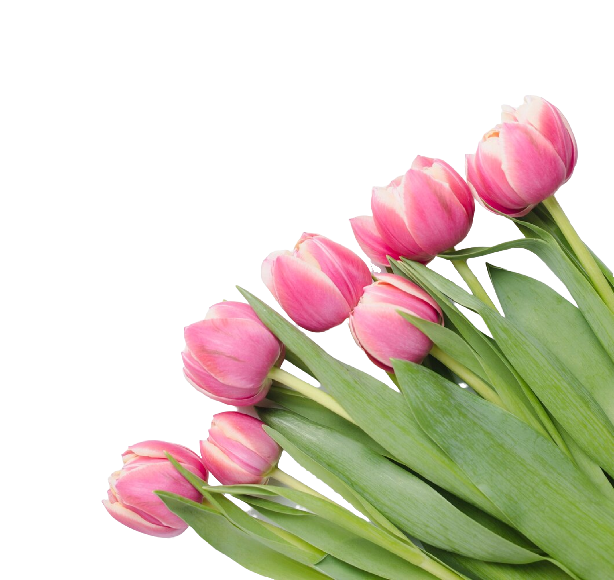 Landscape photograph by Tobias Tullius